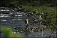 Bifogad bild: norge2010augusti119.jpg